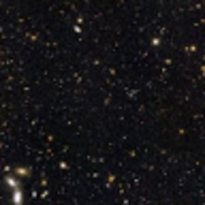 Meet your Posher, Elissa